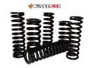 Fast Ace Shock Springs