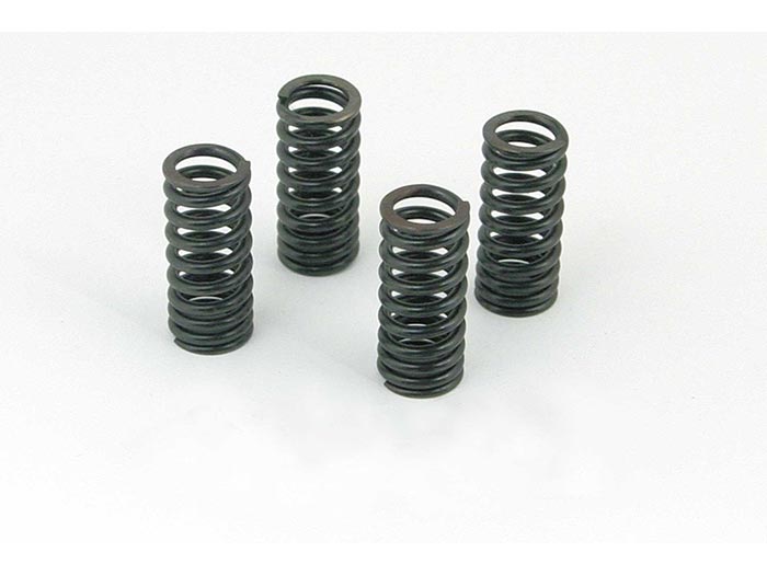 Takegawa DOHC HD Valve Spring Set - CRF50