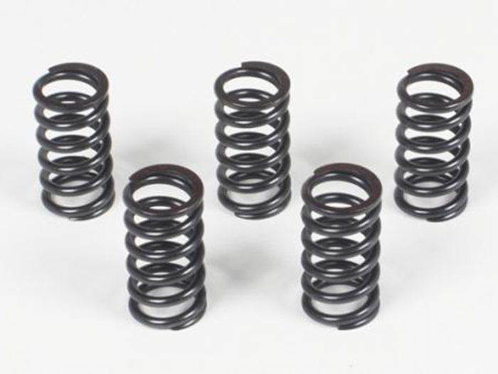 Takegawa Heavy Duty Clutch Spring Set - CBR250R CRF250L/M