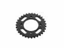 Takegawa 31T 420 Rear Sprocket - TT-R50