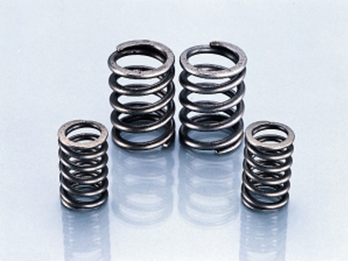 Kitaco Heavy Duty Valve Spring Set - XR100R CRF100F NSF100